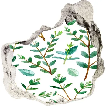 Fototapeta Nálepka 3D díra na zeď Eukalyptus