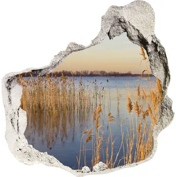 Fototapeta Samolepící nálepka beton Rákos