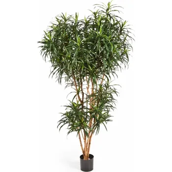 umělá květina Dracaena Reflexa Anita umělá V 120 cm