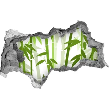 Fototapeta Nálepka 3D díra na zeď samolepící Bambus