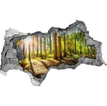 Fototapeta Díra 3D ve zdi na stěnu Panorama les