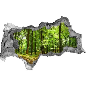 Fototapeta Díra 3D ve zdi nálepka Lesní stezka