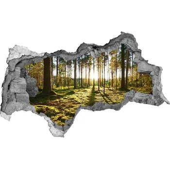 Fototapeta Nálepka fototapeta 3D na zeď Sosnový les