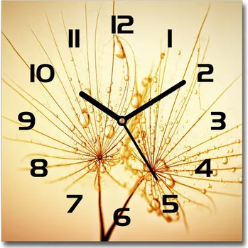 Hodiny Skleněné hodiny čtverec Semena pampelišky