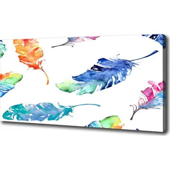 Obraz Foto obraz na plátně Barevné pírka