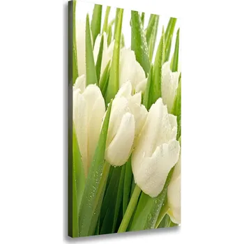Obraz Vertikální Foto obraz na plátně Bílé tulipány