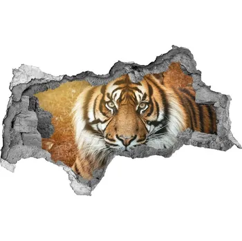 Fototapeta Díra 3D fototapeta na stěnu Bengálský tygr