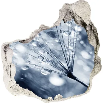 Fototapeta Samolepící nálepka Semena pampelišky