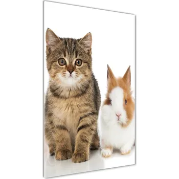 Obraz Foto obraz akrylové sklo vertikální Domácí zvířata