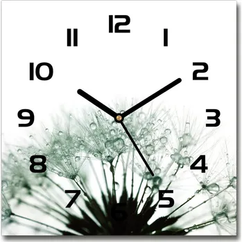 Hodiny Skleněné hodiny čtverec Semena pampelišky