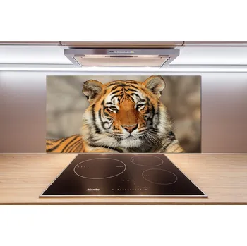 Obklad Panel do kuchyně Bengálský tygr