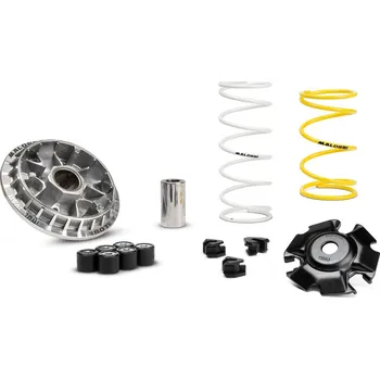 Tuning Malossi Variátor Multivar Honda 5119875