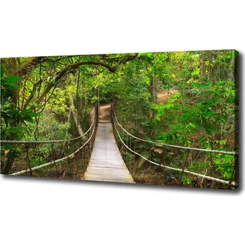 Obraz Foto obraz na plátně Lanový most