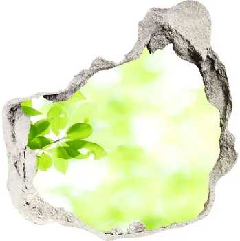 Fototapeta Samolepící díra nálepka beton Listí