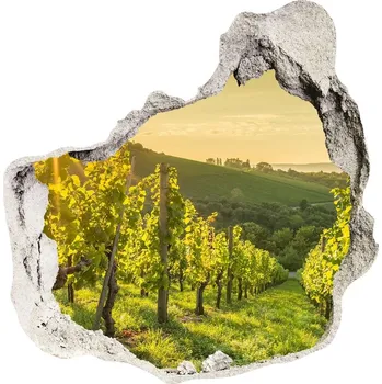 Fototapeta Nálepka fototapeta 3D výhled beton Vinice v Porto