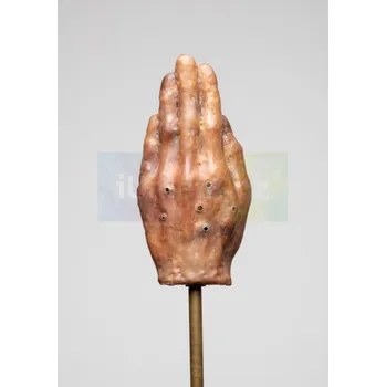 Umění SÓLO : Pavla Sceranková : "Moli, kteří prožírají ruce do světel" - Pavla Sceranková