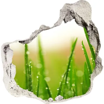 Fototapeta Samolepící díra na stěnu nálepka Tráva