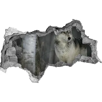 Fototapeta Díra 3D fototapeta na stěnu Šedý vlk
