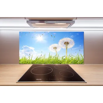 Obklad Skleněný panel do kuchynské linky Pampelišky