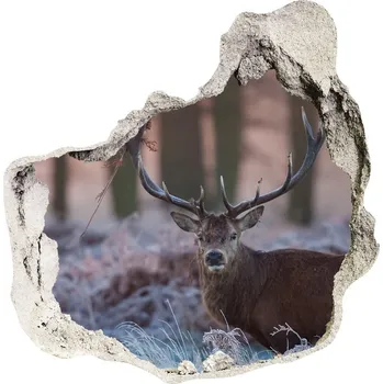 Fototapeta Díra 3D foto tapeta nálepka Jelen východ slunce