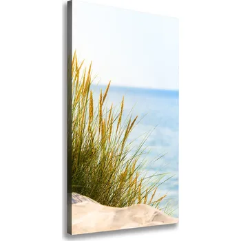 Obraz Vertikální Foto obraz na plátně Mořské duny