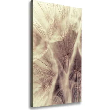 Obraz Vertikální Vertikální Foto obraz na plátně do obýváku Pampeliška