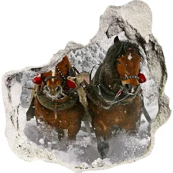 Fototapeta Díra 3D fototapeta na stěnu nálepka Sáně jízda