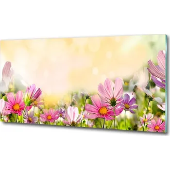 Obraz Foto obraz skleněný horizontální Máky