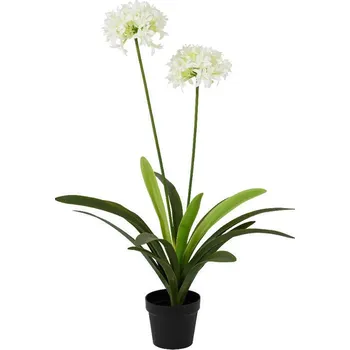 umělá květina Kaemingk Kalokvět v květináči 80x105 cm bílá