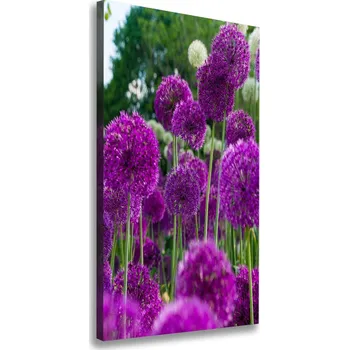 Obraz Vertikální Foto obraz na plátně Květy česneku