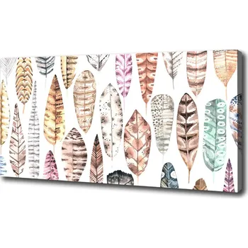 Obraz Foto obraz na plátně Barevné pírka