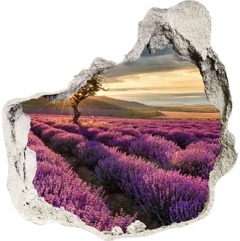 Fototapeta Nálepka fototapeta 3D výhled Pole levandule