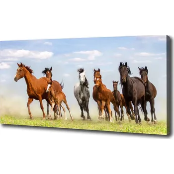 Obraz Foto obraz na plátně Koně ve cvalu