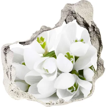 Fototapeta Samolepící díra na stěnu Prvosenky