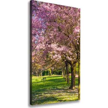 Obraz Vertikální Foto obraz canvas Višně