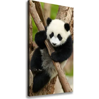Obraz Vertikální Foto obraz na plátně Panda na stromě