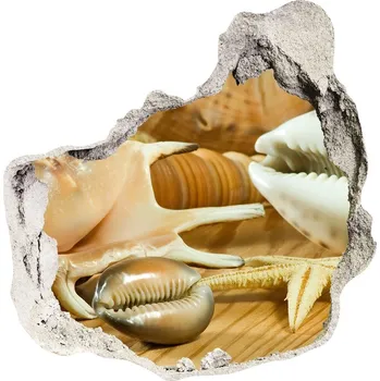 Fototapeta Samolepící díra na stěnu Mušle na dřevě