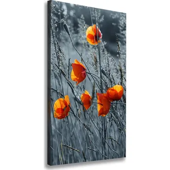 Obraz Vertikální Vertikální Foto obraz na plátně do obýváku Polné máky
