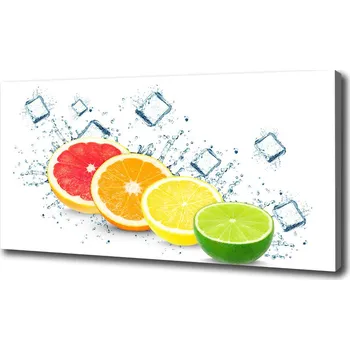 Obraz Foto obraz na plátně do obýváku Citrusové ovoce