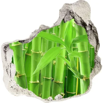 Fototapeta Samolepící nálepka fototapeta Bambusy