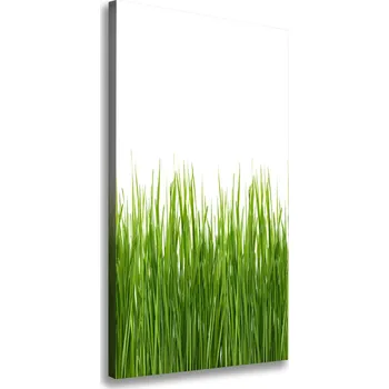 Obraz Vertikální Foto obraz na plátně Zelená tráva