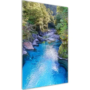 Obraz Foto obraz akrylový do obýváku vertikální Řeka v lese