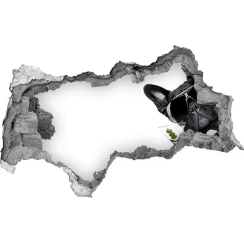 Fototapeta Díra 3D fototapeta nálepka Pes s martini