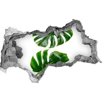 Fototapeta Nálepka 3D díra beton Tropické listí