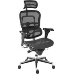 ANTARES Kancelářská židle Antares ERGOHUMAN
