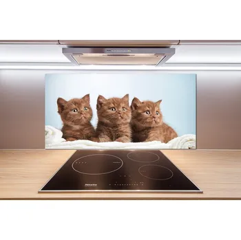 Obklad Panel do kuchyně Kočky na ručníku