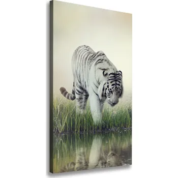 Obraz Vertikální Foto obraz canvas Bílý tygr