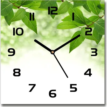 Hodiny Skleněné hodiny čtverec Zelená listí