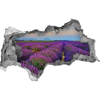 Fototapeta Nálepka fototapeta 3D výhled Pole levandule