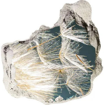 Fototapeta Samolepící nálepka Semena pampelišky